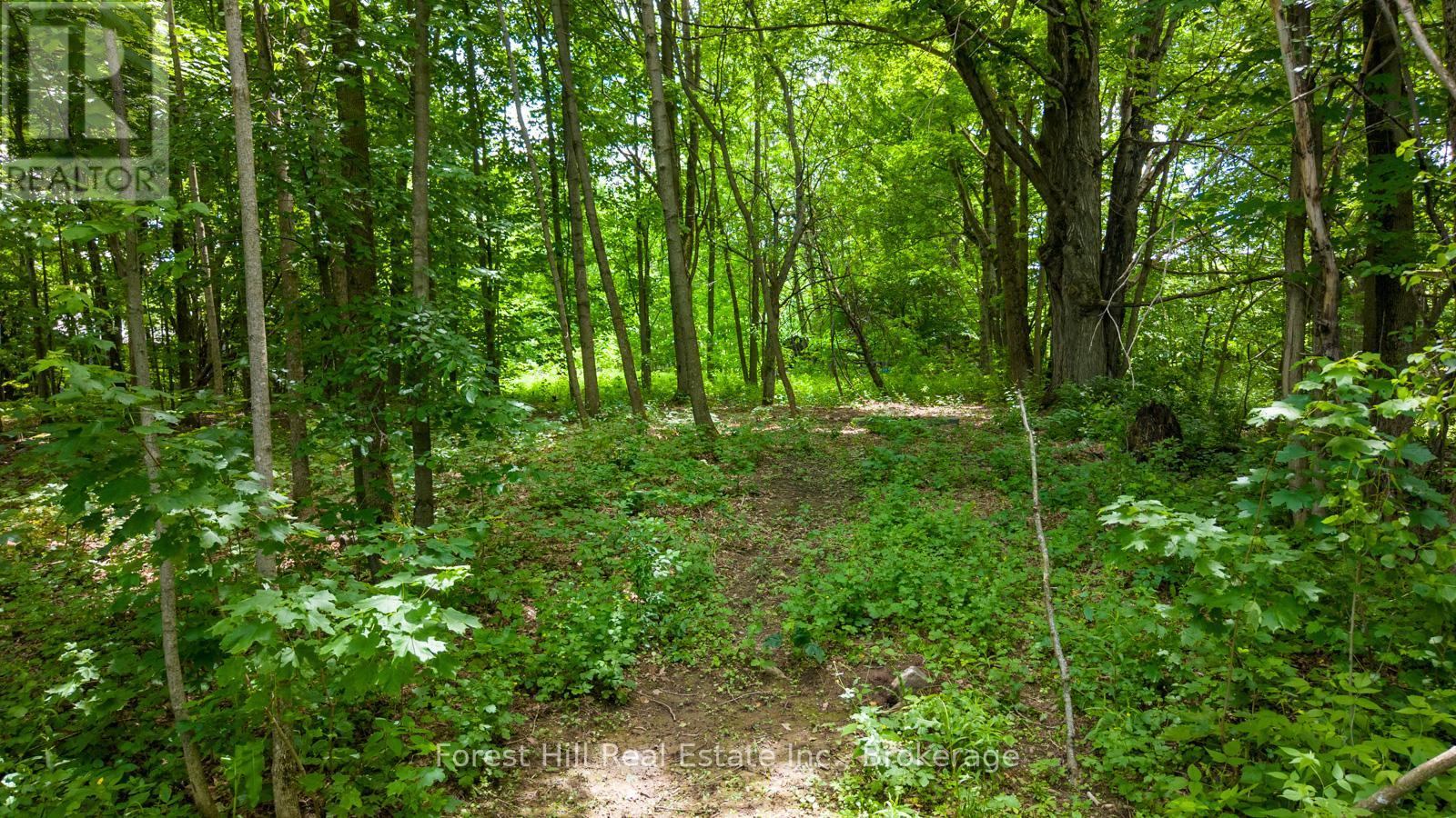 154 Bowles Bluff Road, Grey Highlands, Ontario, N0C1H0, Grey Highlands, Ontario — photo 3 of 5
