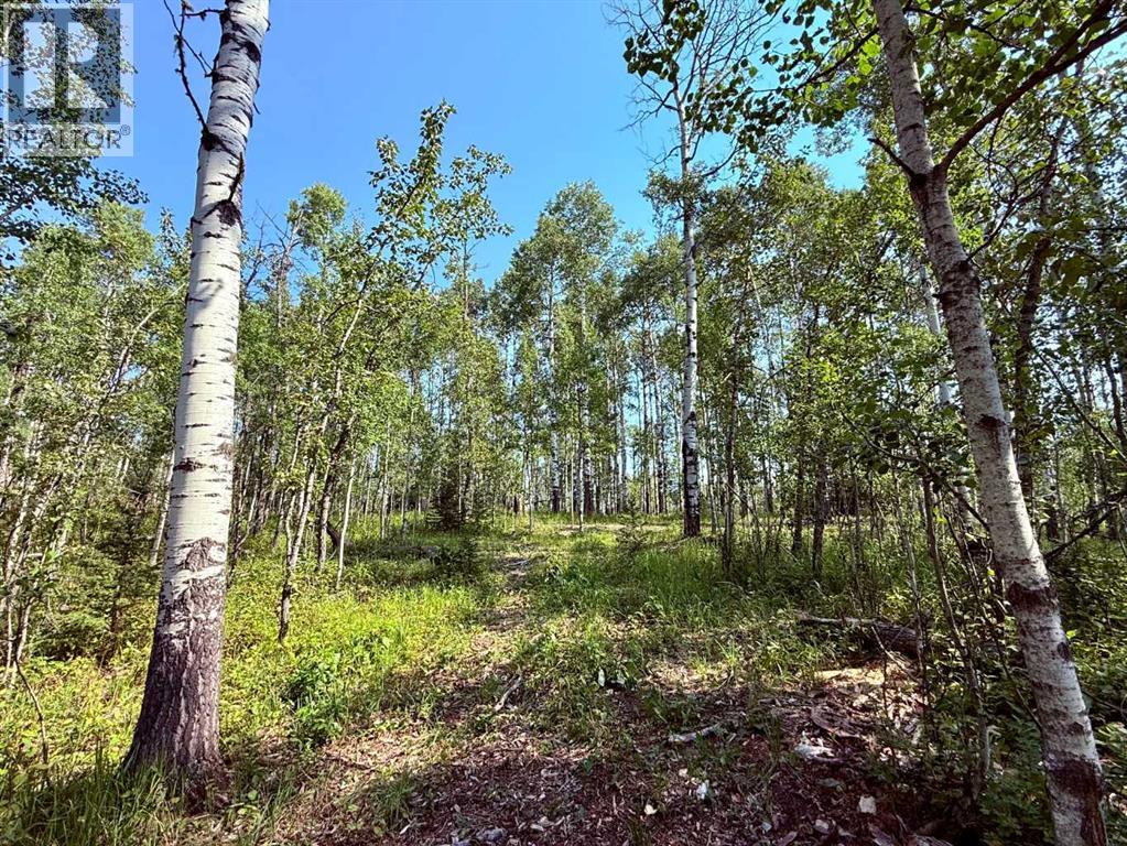 40, 29066 Range Road 52, Rural Mountain View County, Alberta, T0M2E0