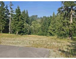 32201 Richards Avenue, Mission, BC V4S1K8 Photo 10