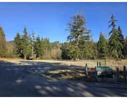 32201 Richards Avenue, Mission, BC V4S1K8 Photo 7