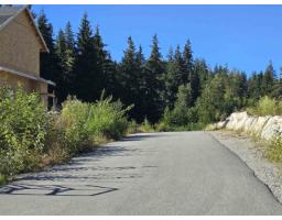 32201 Richards Avenue, Mission, BC V4S1K8 Photo 12