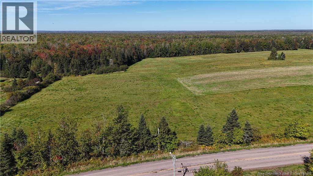 LOT 05-1 Route 134, Shediac Cape — photo 8