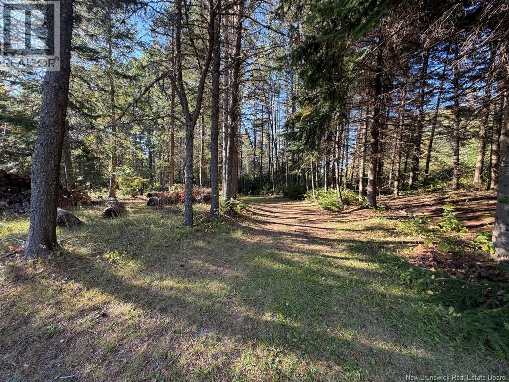 198 Riviere Madawaska Road - 31