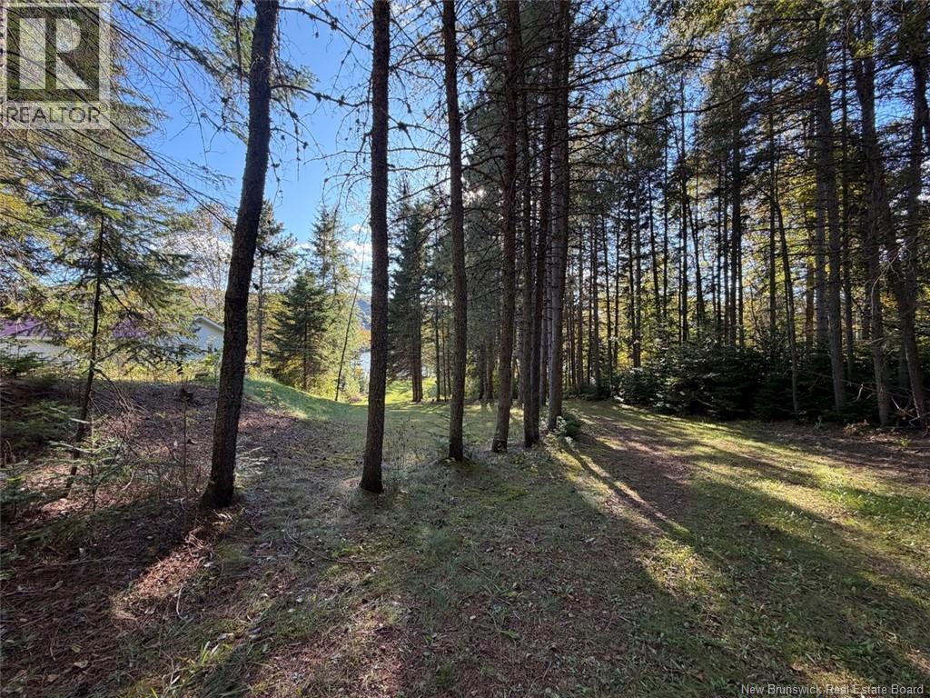 198 Riviere Madawaska Road - 32