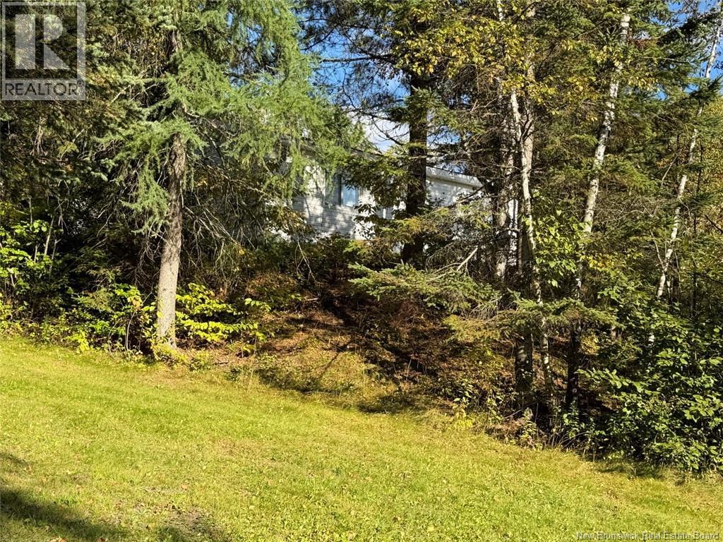 198 Riviere Madawaska Road - 37