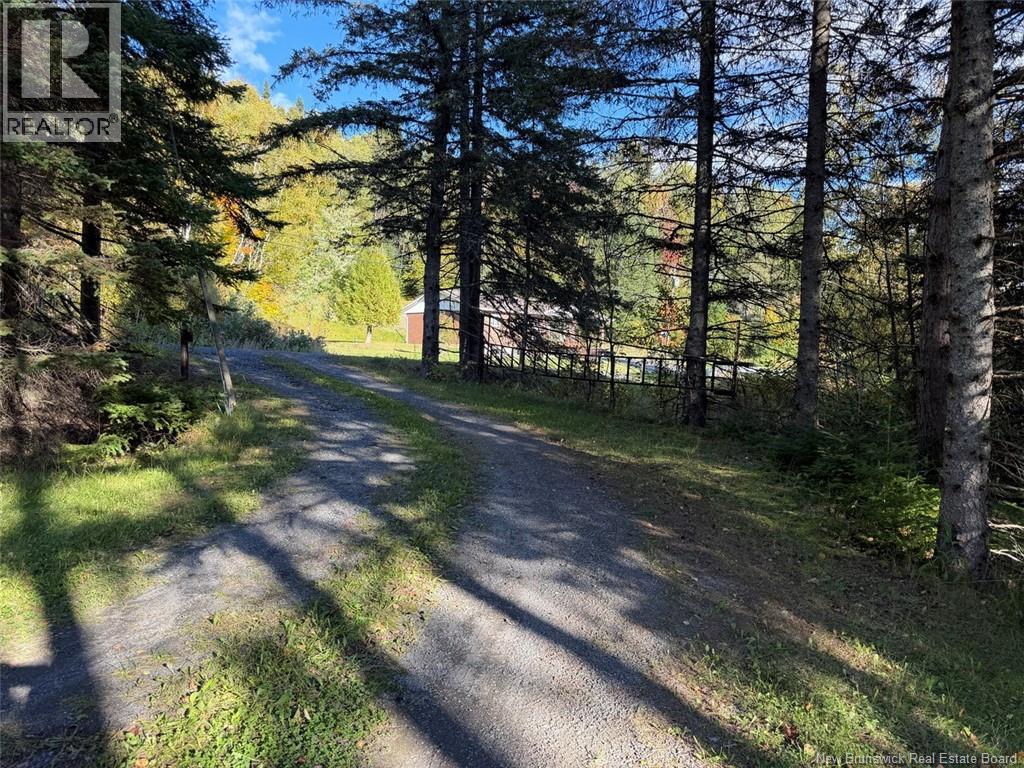 198 Riviere Madawaska Road - 39