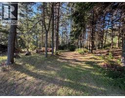 198 Riviere Madawaska Road, Saint Jacques, NB E7B2E6 Photo 31