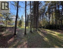 198 Riviere Madawaska Road, Saint Jacques, NB E7B2E6 Photo 32