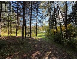 198 Riviere Madawaska Road, Saint Jacques, NB E7B2E6 Photo 33