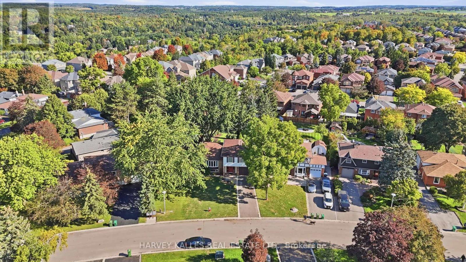 310 NEWLOVE DRIVE - 3