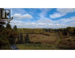 33371 Range Road 63, Rural Mountain View County, AB T0M0K0 Photo 18