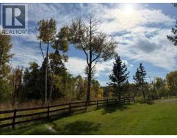 33371 Range Road 63, Rural Mountain View County, AB T0M0K0 Photo 19