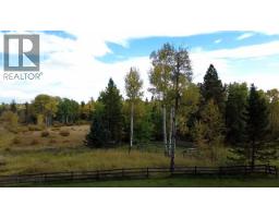 33371 Range Road 63, Rural Mountain View County, AB T0M0K0 Photo 21