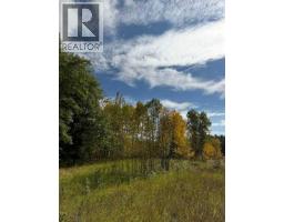 33371 Range Road 63, Rural Mountain View County, AB T0M0K0 Photo 14