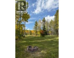 33371 Range Road 63, Rural Mountain View County, AB T0M0K0 Photo 16