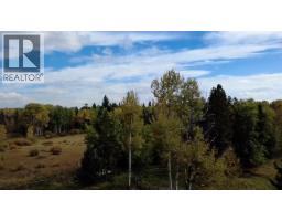 33371 Range Road 63, Rural Mountain View County, AB T0M0K0 Photo 17