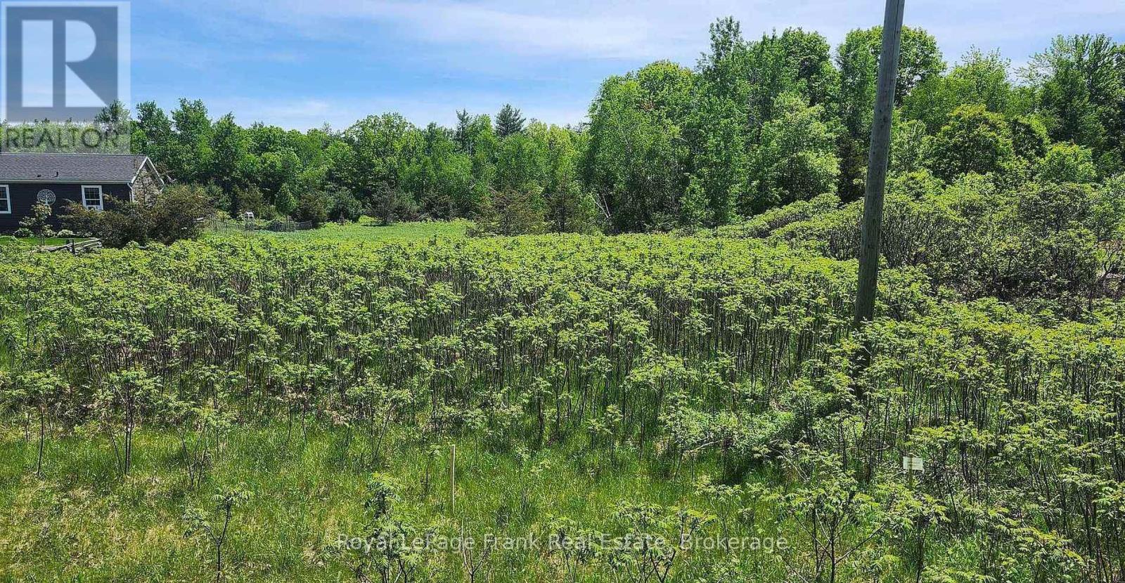 LOT 14 TRENT RIVER ROAD, Trent Hills