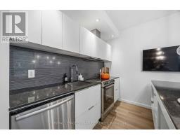 202 - 8 Charlotte Street, Toronto, ON M5V0K4 Photo 8