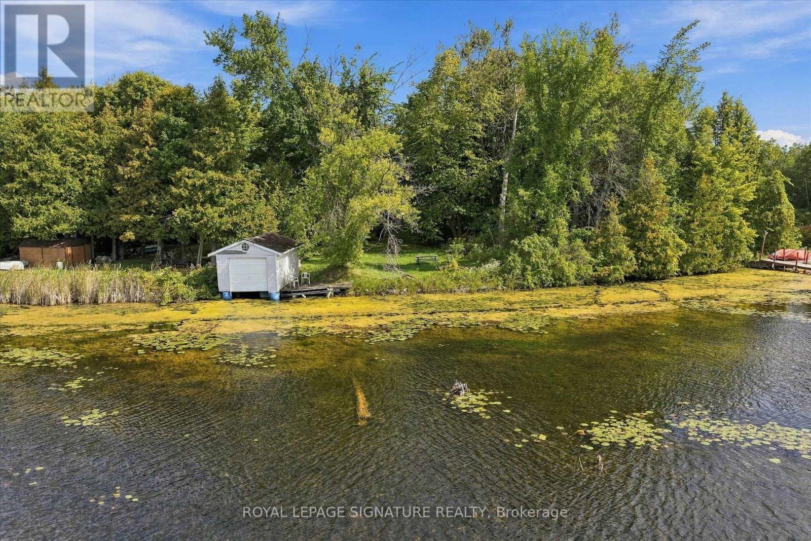 32 HARGRAVE ROAD - Image 34