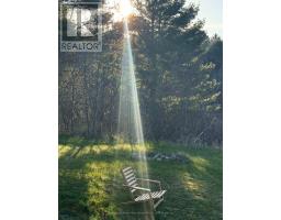 115 Petes Road, Alnwick/haldimand, ON K0K2G0 Photo 36