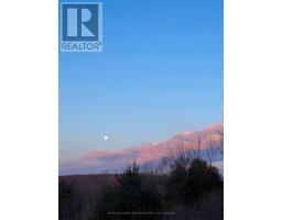 115 Petes Road, Alnwick/haldimand, ON K0K2G0 Photo 42