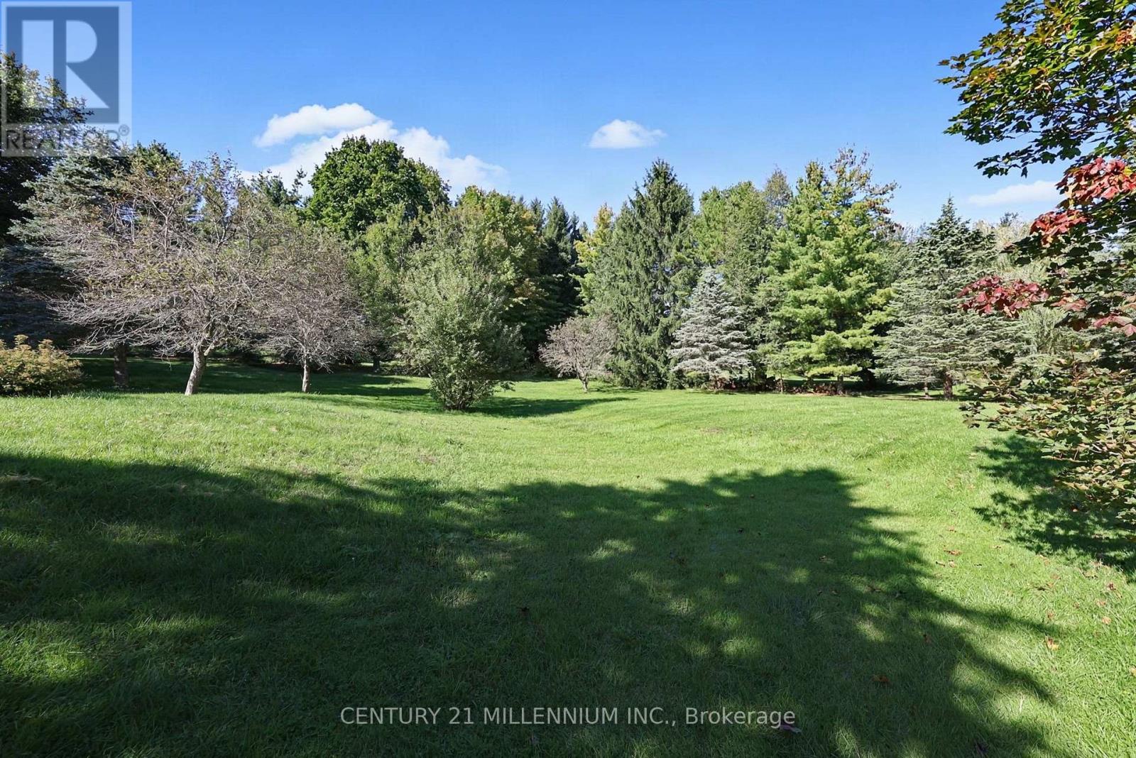 16 TANGLEWOOD DRIVE - 38