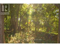 15 Farrugie Street, Brant, ON N3L0A8 Photo 31
