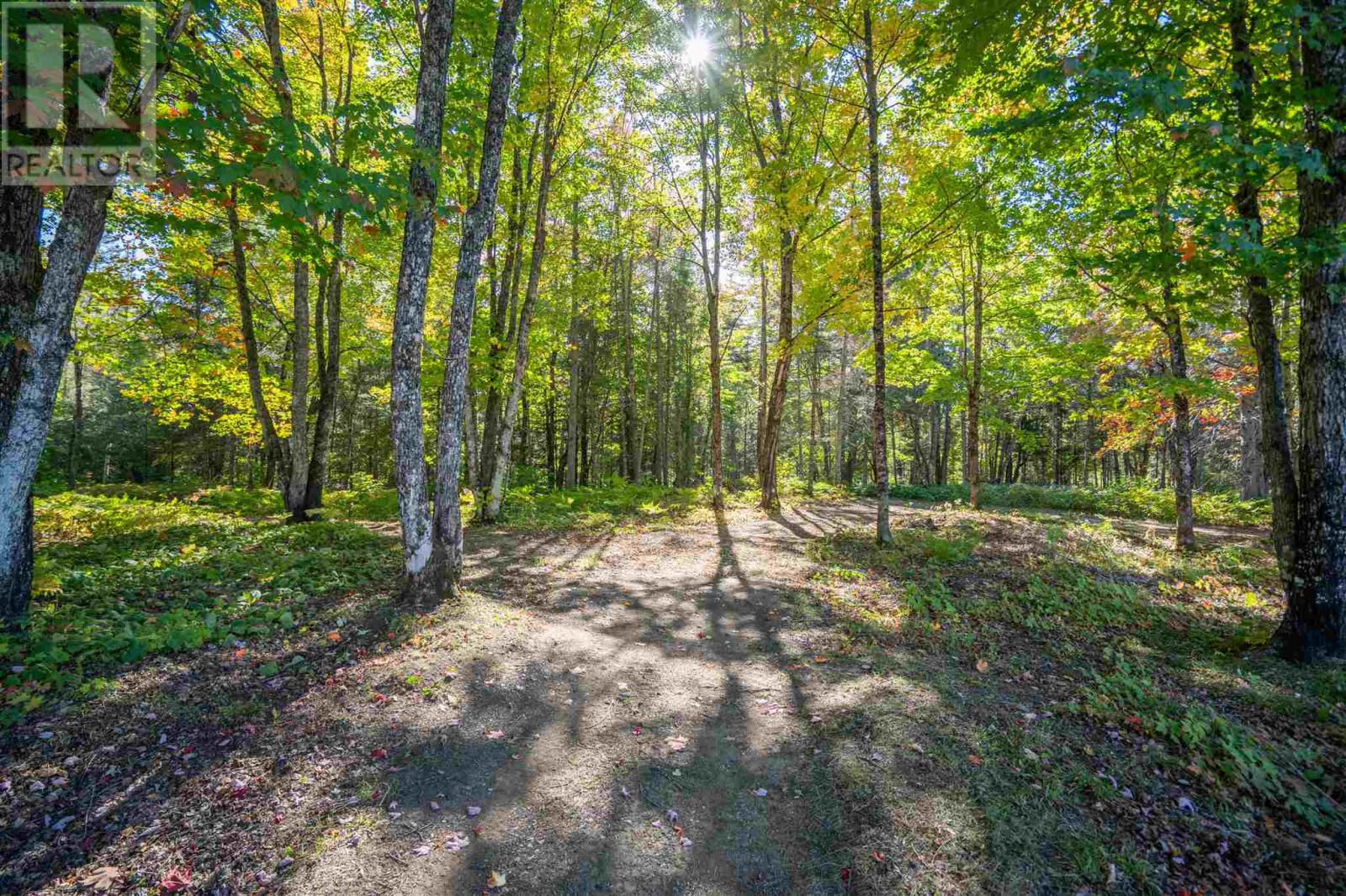 197 Finn RD, Searchmont — photo 10