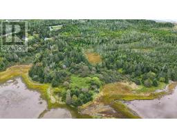Block X1 Gros Point, Lower East Chezzetcook, NS B0J1N0 Photo 12