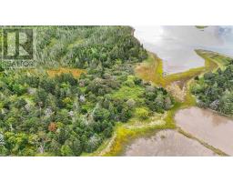 Block X1 Gros Point, Lower East Chezzetcook, NS B0J1N0 Photo 6