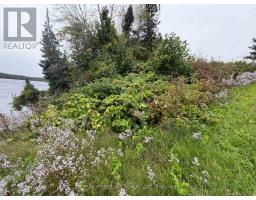 2066 La Passe Road, Whitewater Region, ON K0J1C0 Photo 40