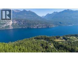 9233 31 Highway, Kaslo, BC V0G1M0 Photo 61