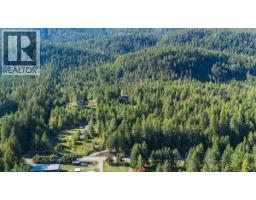 9233 31 Highway, Kaslo, BC V0G1M0 Photo 63