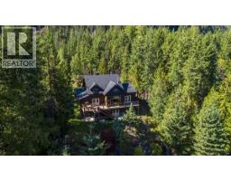 9233 31 Highway, Kaslo, BC V0G1M0 Photo 53
