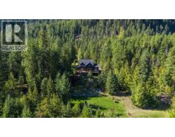9233 31 Highway, Kaslo, BC V0G1M0 Photo 52