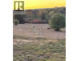 1510 Ch. Lugar, Lugar, NB E8K3B4 Photo 20