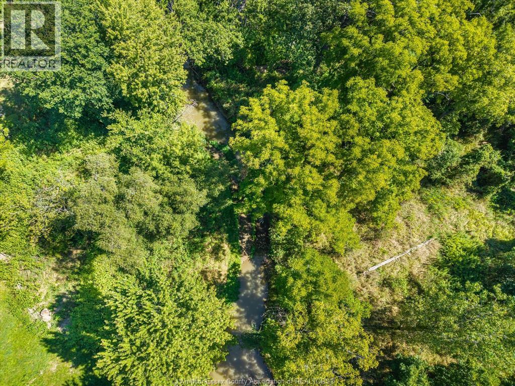 1585 BELLE RIVER ROAD, Lakeshore — photo 9