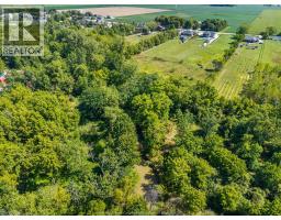 1585 Belle River Road, Lakeshore, ON N0R1A0 Photo 7
