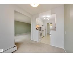 #304 11425 41 Av Nw, Edmonton, AB T6J0T9 Photo 13