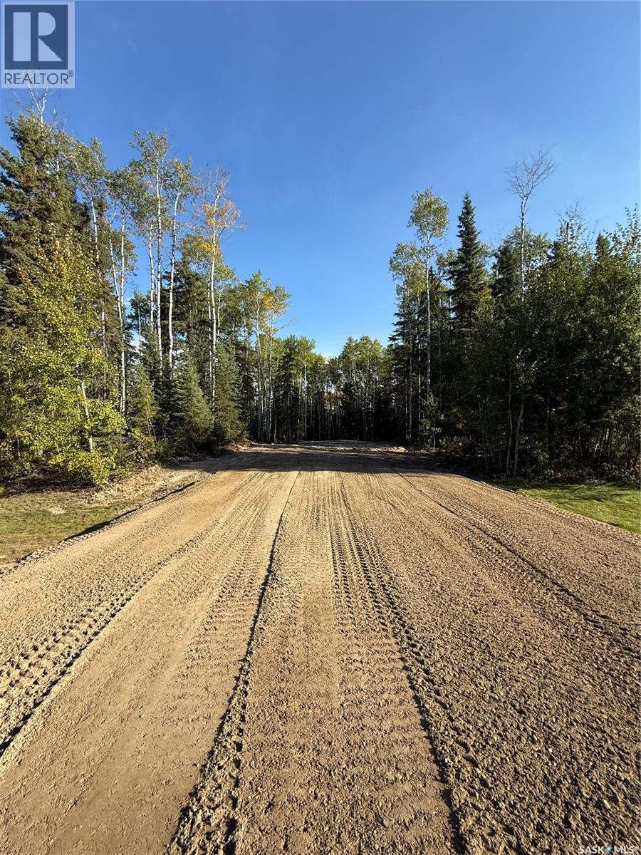 305 Meadow Ridge DRIVE, Candle Lake — photo 12