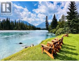 11957 L'heureux (tete Jaune Lodge), Valemount, BC V0J2E0 Photo 28