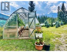 11957 L'heureux (tete Jaune Lodge), Valemount, BC V0J2E0 Photo 27