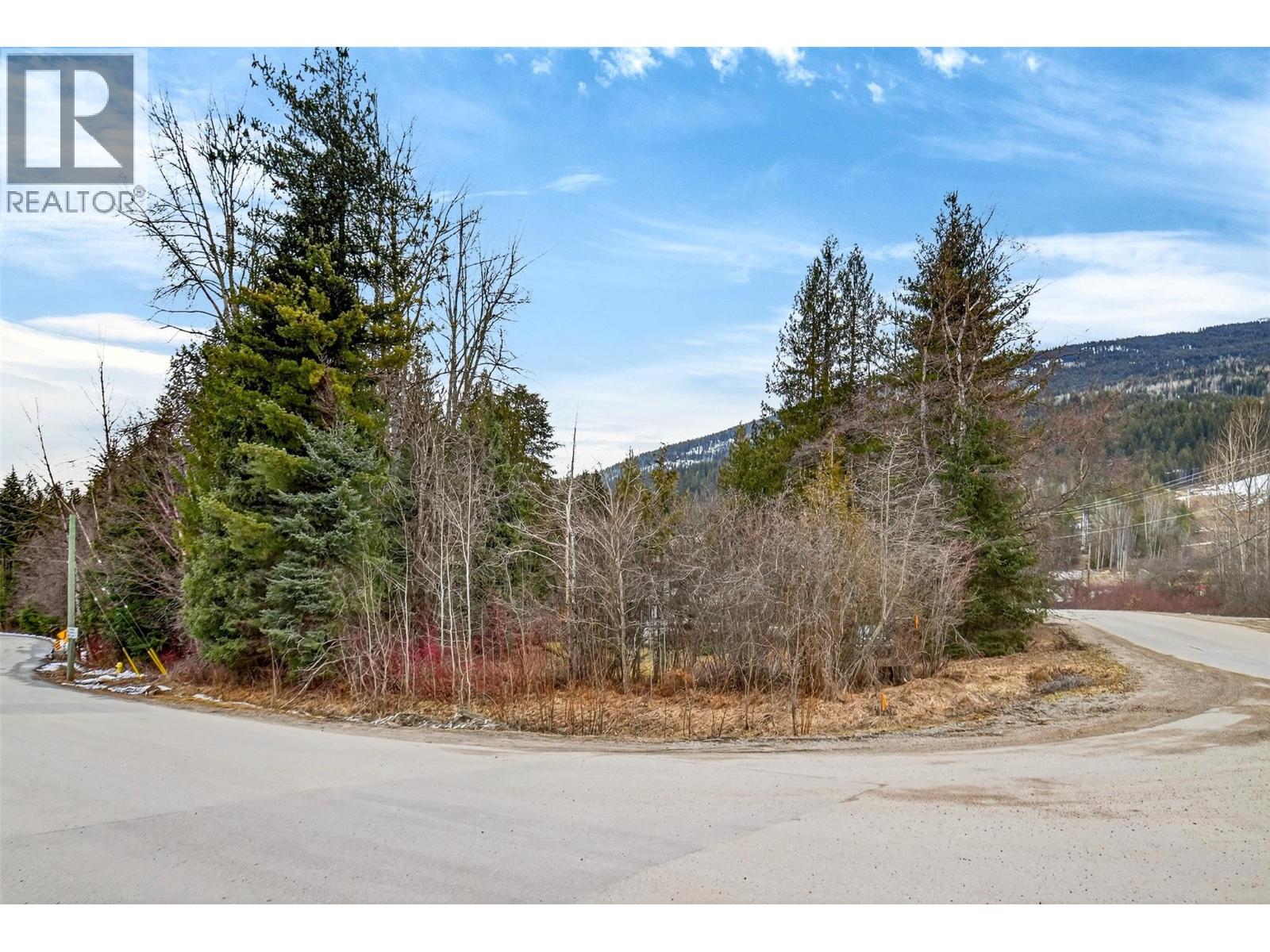 3025 Camozzi Road - 50
