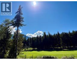 205 Edward Street Lot# 42, Balfour, BC V0G1C0 Photo 10