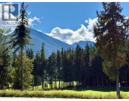 205 Edward Street Lot# 43, Balfour, BC V0G1C0 Photo 12