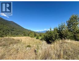 205 Edward Street Lot# 61, Balfour, BC V0G1C0 Photo 10