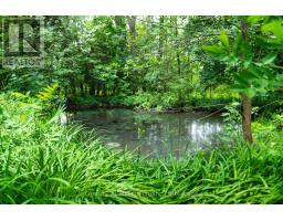 175134 Grey Road 30 Road, Grey Highlands, ON N0C1H0 Photo 26
