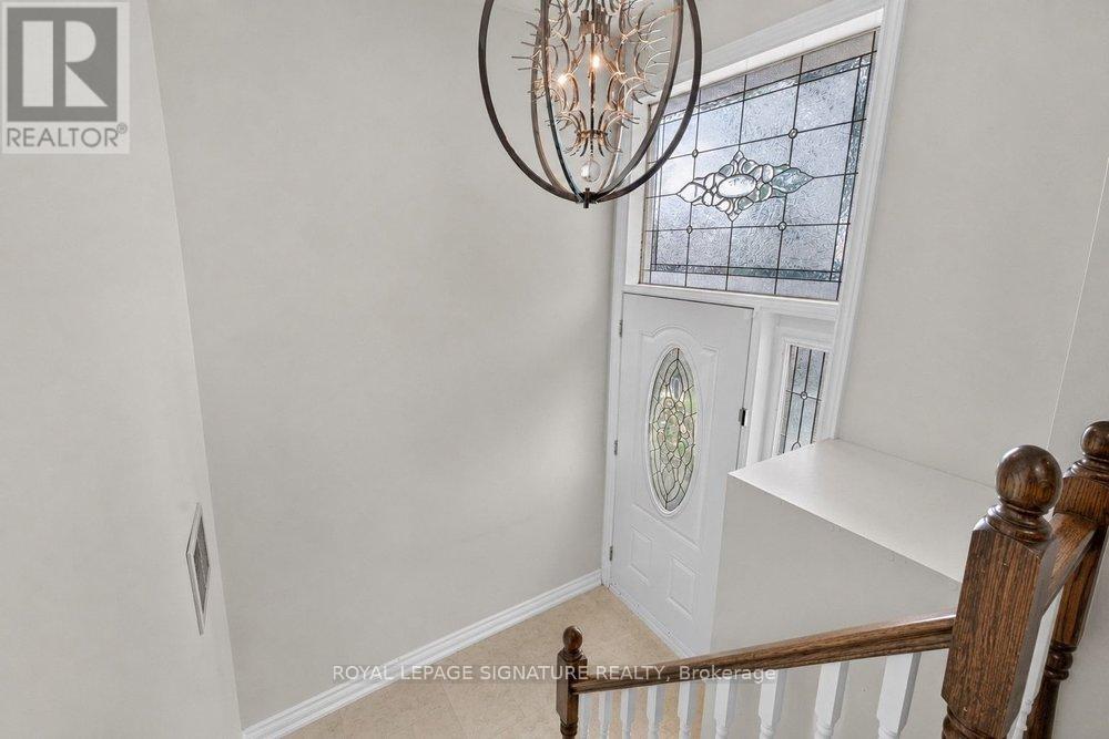 Photo of 439 GINGER DOWNS