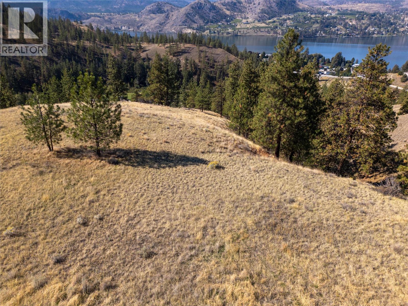  PRPSD LT 2 47 Street, Okanagan Falls