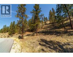 Prpsd Lt 2 47 Street, Okanagan Falls, BC V0H1R5 Photo 14